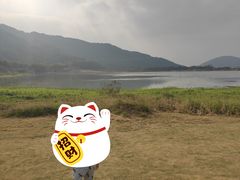 -风云岭森林公园