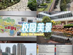 -香港大学