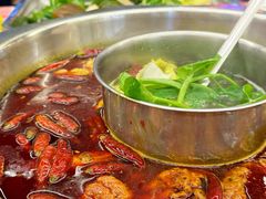 -金鼎雪山牦牛杂火锅(理县总店)