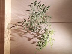 -上海佘山世茂艾美酒店