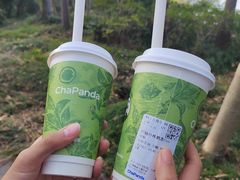 -长广溪湿地公园