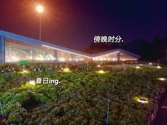 -莫子山公园