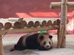 -杭州野生动物世界