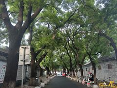 -北京国子监胡同