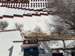 -布达拉宫