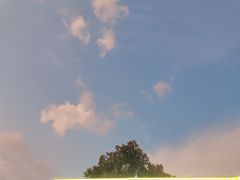 -合肥野生动物园