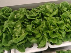 -九孔·筒骨莲藕汤锅(大明宫万达店)