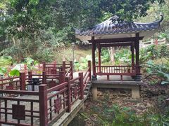 -天鹿湖森林公园