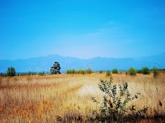 -野鸭湖国家湿地公园