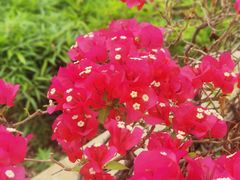 -河源御临门度假村温泉