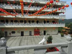 -深圳仙湖植物园-停车场