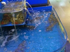 -金稼园·金平湖农家菜