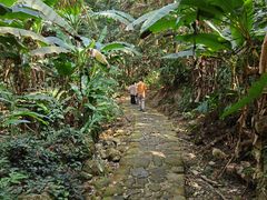 -福清灵石山国家森林公园