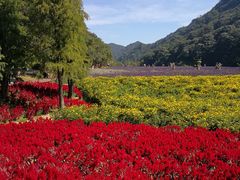 -广州市石门国家森林公园