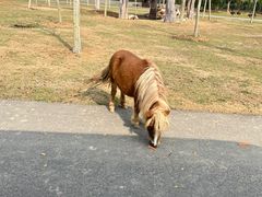 -南京汤山紫清湖生态旅游温泉度假区