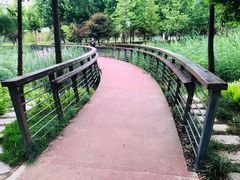 -郑东新区湿地公园