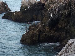 -海驴岛(荣成市)