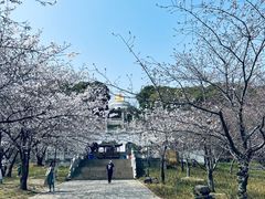 -苏州上方山国家森林公园