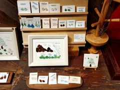 -时光花园(白鹭洲店)