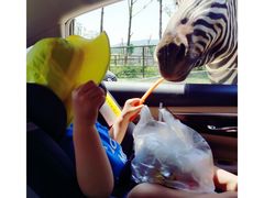 -南京金牛湖风景区