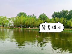 -WhaleSports户外水上运动俱乐部(朝阳公园店)