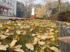 -西南交通大学(峨眉校区)