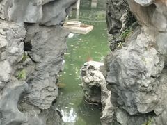 -浮庄