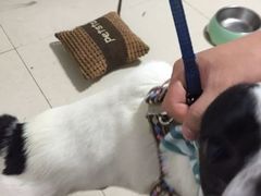 -荔康动物医院(康王北路店)