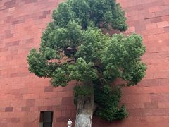 -中国美术学院象山校区-民艺博物馆