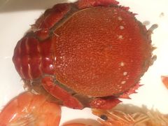 -新港湾大酒店-西餐厅