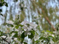 -元大都城垣遗址公园