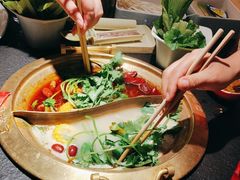-熊喵来了火锅(四平万达第56分店)