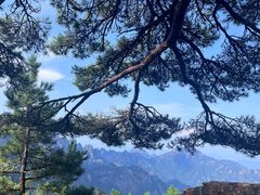 -黄山风景区