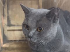 -203密室体验馆·逃脱·聚会·亲子(工体店)