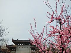 -堤角公园