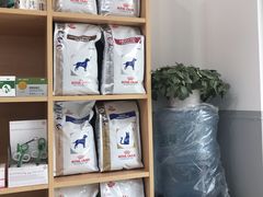 -嘉美宠物医院