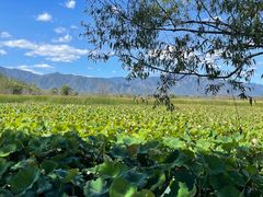 -野鸭湖国家湿地公园