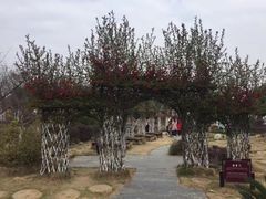 -武汉紫薇都市田园