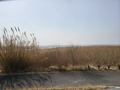 -盐城丹顶鹤湿地生态旅游区