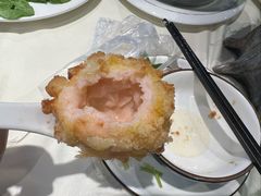 -丁老爷子苏香圆