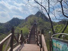 -大岭沟猕猴桃谷风景区