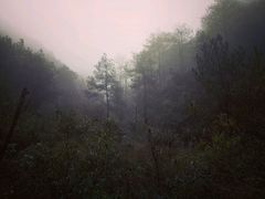 -会稽山峡洞漂流-上青古道