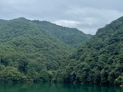 -午潮山国家森林公园