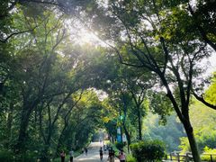 -广州市白云山风景名胜区