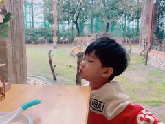 -上海野生动物园老虎餐厅
