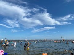 -碧海金沙