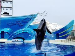 -上海海昌海洋公园