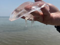 -北戴河东海水浴场