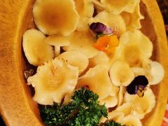 -季季山·云南野生菌火锅(上海首店)