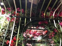 -浩海火烧云傣家菜(京广店)